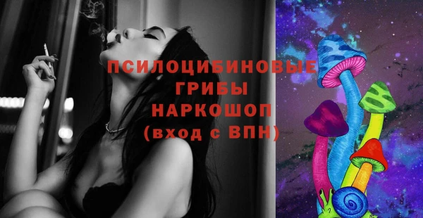 ГАЛЛЮЦИНОГЕННЫЕ ГРИБЫ Верхнеуральск